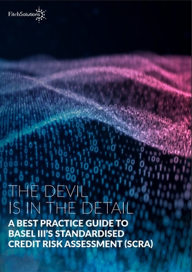 SCRA Best Practice Guide - Risk Library